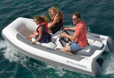 WILLIAMS MiniJet 280